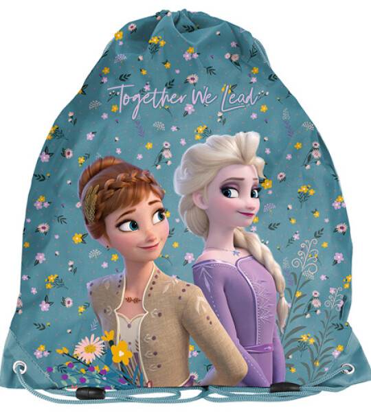 FROZEN STRING BAG