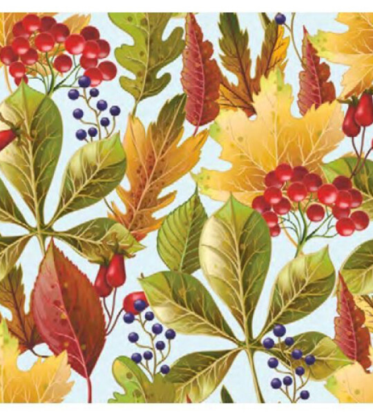 napkins paper - everyday