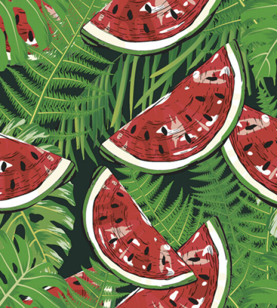 napkins paper - watermelons