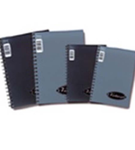 notebook a4 side spiral 2 subj+ 2 holes