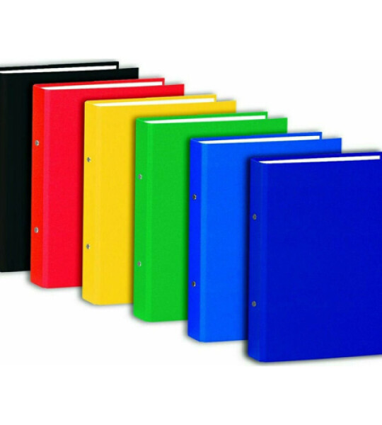ring binder a4 2 rings asstd clrs